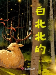 白北北的奇妙之旅